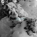 Picture 19