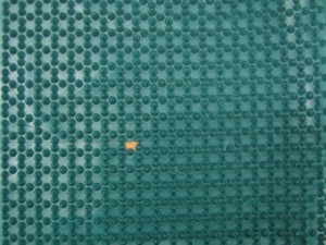 11266135_Rubber_Waste_Chloro_Butyl_Rubber_Ir_1066