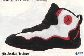 jordan trainers