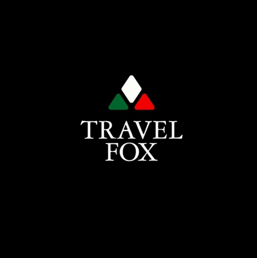 the travel fox