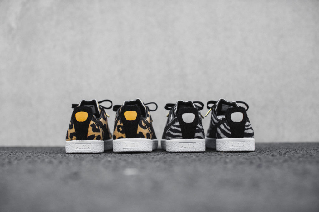 16aw_pr_sp_select_clydesuits_3